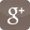 Google Plus